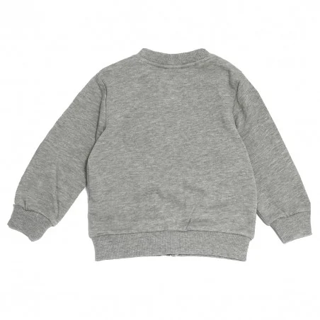 DC Comics Justice League Παιδική ζακέτα Φούτερ για αγόρια (RH1371GREY) DC Comics Justice League Παιδική ζακέτα Φούτερ για αγόρια (RH1371GREY)