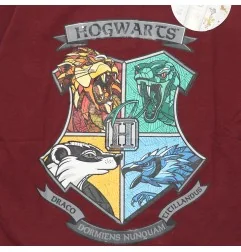 Harry Potter Παιδικό Μακρυμάνικο μπλουζάκι (HP 52 02 373)