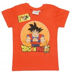 Dragon Ball Z Παιδικό Κοντομάνικο Μπλουζάκι Για αγόρια (DB091 TT) - Κοντομάνικα μπλουζάκια