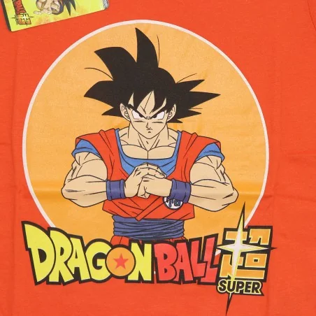 Dragon Ball Z Παιδικό Κοντομάνικο Μπλουζάκι Για αγόρια (DB091 TT)