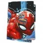 Marvel Spiderman Πετσέτα θαλάσσης microfiber 70x137εκ. (EXK334847)