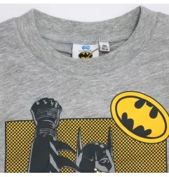 Batman Εποχιακό Μακρυμάνικο Μπλουζάκι για αγόρια (XH1028 grey)
