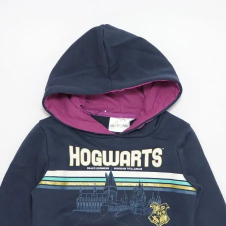 Harry Potter Χειμωνιάτικη Μπλούζα Φούτερ για κορίτσια (HW1041 navy) Harry Potter Χειμωνιάτικη Μπλούζα Φούτερ για κορίτσια (HW1041 navy)