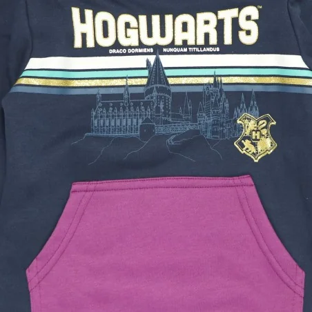 Harry Potter Χειμωνιάτικη Μπλούζα Φούτερ για κορίτσια (HW1041 navy) Harry Potter Χειμωνιάτικη Μπλούζα Φούτερ για κορίτσια (HW1041 navy)