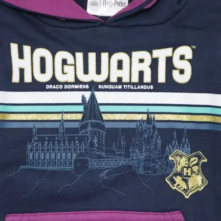 Harry Potter Χειμωνιάτικη Μπλούζα Φούτερ για κορίτσια (HW1041 navy) Harry Potter Χειμωνιάτικη Μπλούζα Φούτερ για κορίτσια (HW1041 navy)