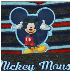 Disney Mickey Mouse Παιδικό Χειμωνιάτικο Σκουφάκι για αγόρια (MIC23-2309grey)