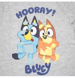 Παιδική Μακρυμάνικη Μπλούζα Bluey "Hooray!" – Βαμβακερή (Γκρι Μελανζέ) (BL 52 02 226 grey)