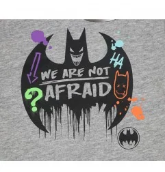 Batman Παιδικό Κοντομάνικο Μπλουζάκι Για Αγόρια (EV1219 Grey) - Κοντομάνικα μπλουζάκια