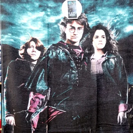 Harry Potter Βαμβακερή Πετσέτα θαλάσσης 70x140εκ. (HP224003-R)