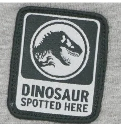 Jurassic World Παιδικό Σορτς για αγόρια (WE1073 Grey)