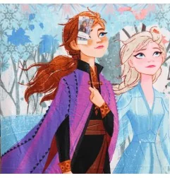 Disney Frozen Πετσέτα θαλάσσης microfiber Fast Dry 70x137εκ. (EXK335042) - Πετσέτες Θαλάσσης