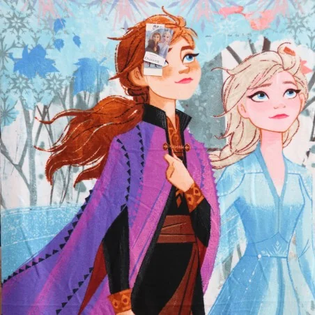 Disney Frozen Πετσέτα θαλάσσης microfiber Fast Dry 70x137εκ. (EXK335042) Disney Frozen Πετσέτα θαλάσσης microfiber Fast Dry 70x137εκ. (EXK335042)