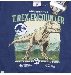 Jurassic World Παιδική Μπλούζα Φούτερ Για Αγόρια (JW 52 18 162)