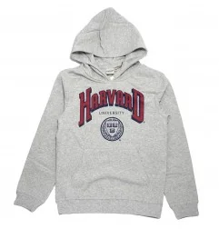 Harvard University εφηβική μπλούζα φούτερ με κουκούλα (YE10350 Grey) - Εφηβικά