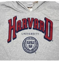 Harvard University εφηβική μπλούζα φούτερ με κουκούλα (YE10350 Grey) - Εφηβικά