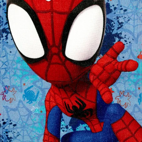 Παιδική Πετσέτα Προσώπου & Χεριών Marvel Spidey "Blue" 30x50cm – 100% Βαμβάκι (FML365969) Παιδική Πετσέτα Προσώπου & Χεριών Marvel Spidey "Blue" 30x50cm – 100% Βαμβάκι (FML365969)