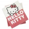 Παιδική Πυτζάμα για Κορίτσι Hello Kitty "Good Night and Sweet Dreams" 100% Βαμβάκι Σε Κουτί Δώρου – Ροζ (HY20161Pink)