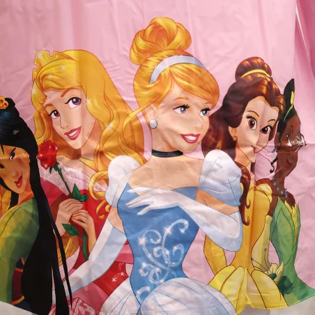 Παιδικό Αδιάβροχο Παλτό για Κορίτσι Disney Princess – Ανοιχτό Ροζ (DIS P 52 28 B543) Παιδικό Αδιάβροχο Παλτό για Κορίτσι Disney Princess – Ανοιχτό Ροζ (DIS P 52 28 B543)