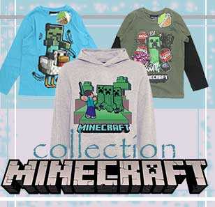 Minecraft Collection